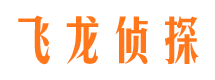 乌伊岭市侦探公司